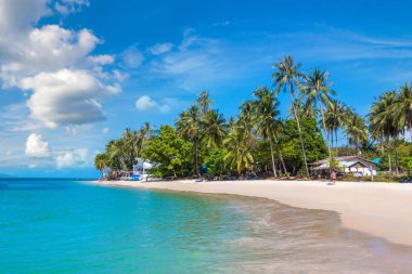 Koh Samui Adası, Tayland bir yaz günü palmiye ağaçları ile tropikal plaj