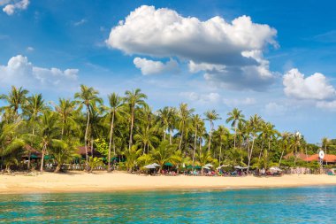 Koh Samui Adası, Tayland bir yaz günü palmiye ağaçları ile tropikal plaj