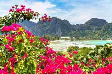 Phi Phi Don Island, Tayland bir yaz günü hava panoramik