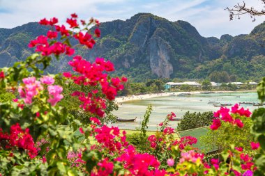 Phi Phi Don Island, Tayland bir yaz günü hava panoramik