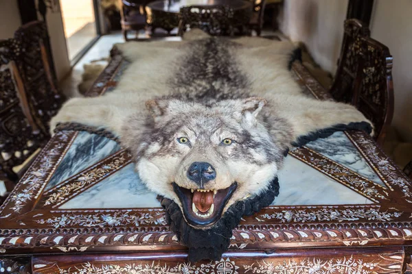 Chiang Rai, Tayland - 29 Mart 2018: Kurt cilt Baan Barajı Müzesi (siyah tapınak) Chiang Rai, Tayland bir yaz günü'nde bir masada