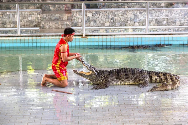 Pattaya Thaiföld 2018 Március Krokodil Show Pattaya Thaiföld Ban Egy — Stock Fotó