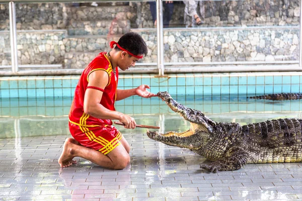 Pattaya Thaiföld 2018 Március Krokodil Show Pattaya Thaiföld Ban Egy — Stock Fotó