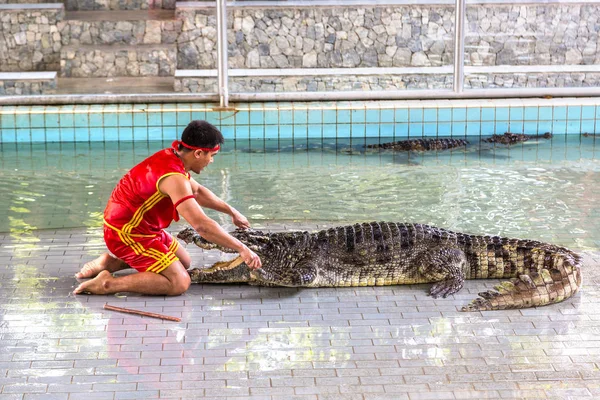 Pattaya Thaiföld 2018 Március Krokodil Show Pattaya Thaiföld Ban Egy — Stock Fotó