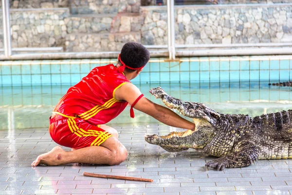 Krokodil Térkép Pattaya Thaiföld Egy Nyári Nap — Stock Fotó