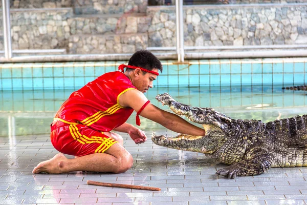 Pattaya, Tayland - 29 Mart 2018: Timsah gösterisinde bir yaz günü Pattaya, Tayland