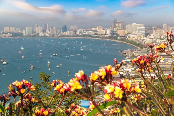 Pattaya Körfezi, Tayland 'da yaz günü panoramik hava manzarası