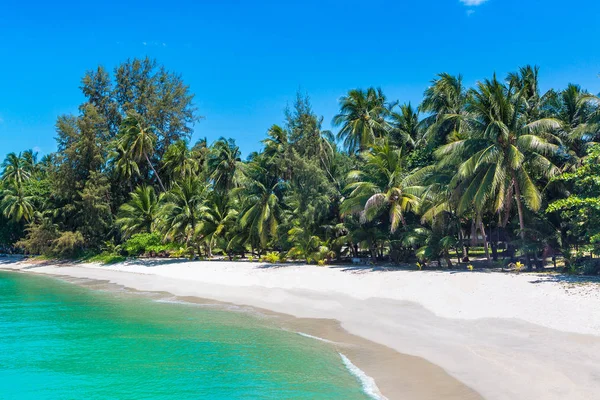 Koh Samui Adası, Tayland bir yaz günü palmiye ağaçları ile tropikal plaj