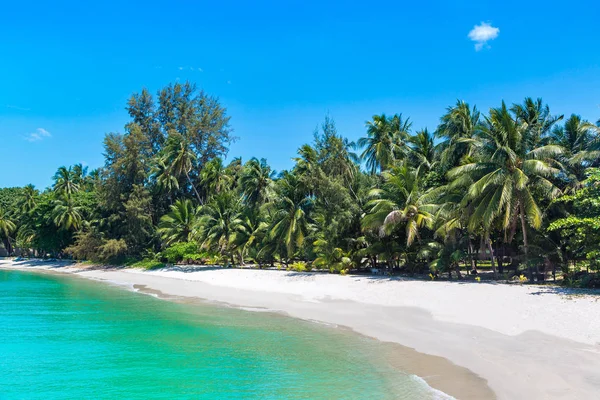 Tropical Beach Palm Trees Koh Samui Island Thailand Summer Day — Stock Photo, Image