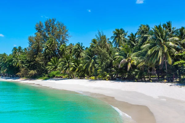 Tropical Beach Palm Trees Koh Samui Island Thailand Summer Day — Stock Photo, Image