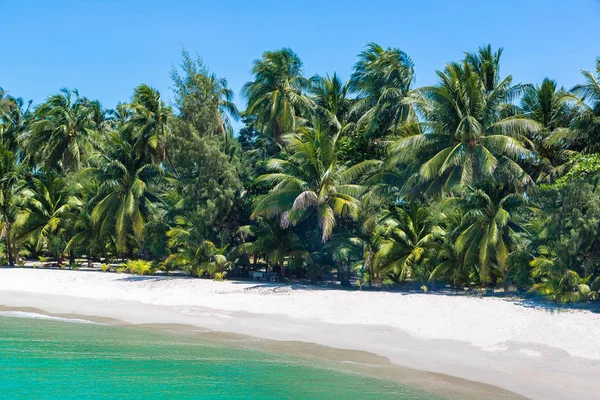 Praia Tropical Com Palmeiras Ilha Koh Samui Tailândia Dia Verão — Fotografia de Stock