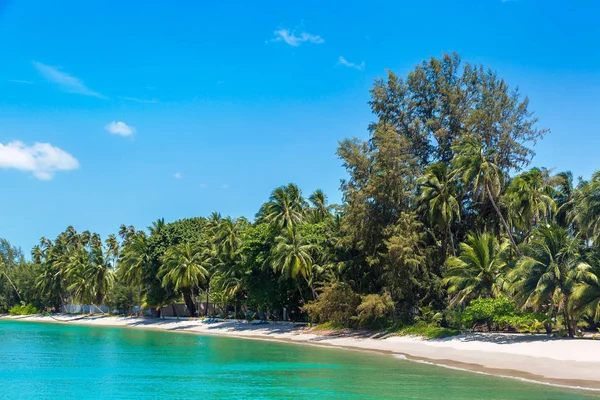 Tropikalnej Plaży Palmami Wyspie Koh Samui Tajlandia Letnie Dni — Zdjęcie stockowe