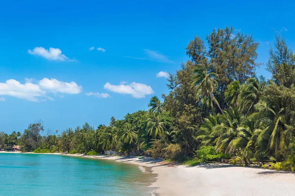 Praia Tropical Com Palmeiras Ilha Koh Samui Tailândia Dia Verão — Fotografia de Stock