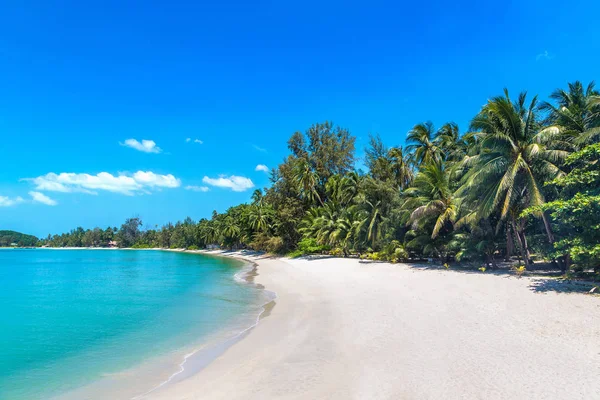Koh Samui Adası, Tayland bir yaz günü palmiye ağaçları ile tropikal plaj