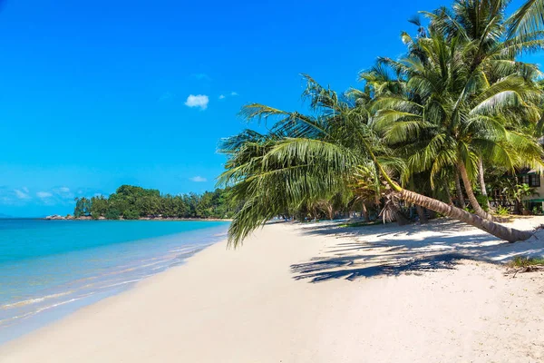 Spiaggia Tropicale Con Palme Sull Isola Koh Samui Thailandia Una — Foto Stock