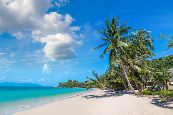 Tropikalnej Plaży Palmami Wyspie Koh Samui Tajlandia Letnie Dni — Zdjęcie stockowe