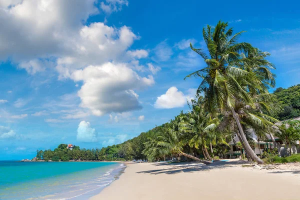Koh Samui Adası, Tayland bir yaz günü palmiye ağaçları ile tropikal plaj