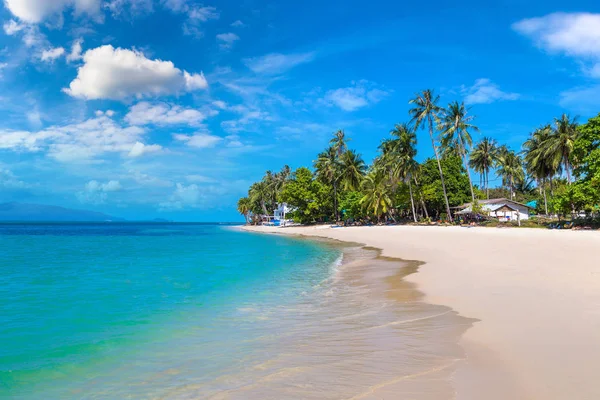 Koh Samui Adası, Tayland bir yaz günü palmiye ağaçları ile tropikal plaj