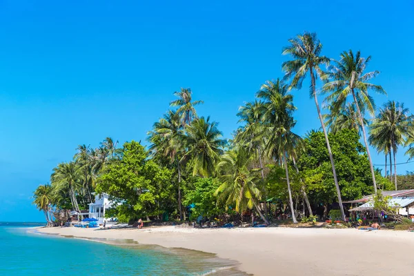 Praia Tropical Com Palmeiras Ilha Koh Samui Tailândia Dia Verão — Fotografia de Stock