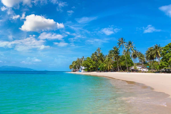 Koh Samui Adası, Tayland bir yaz günü palmiye ağaçları ile tropikal plaj