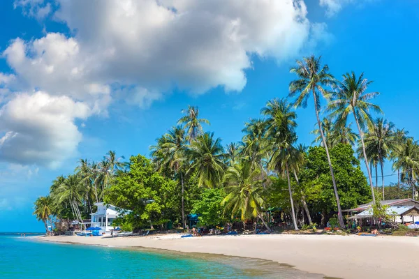 Praia Tropical Com Palmeiras Ilha Koh Samui Tailândia Dia Verão — Fotografia de Stock