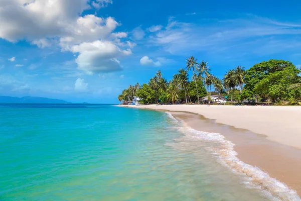 Praia Tropical Com Palmeiras Ilha Koh Samui Tailândia Dia Verão — Fotografia de Stock