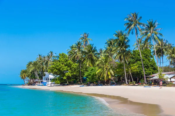 Koh Samui Adası, Tayland bir yaz günü palmiye ağaçları ile tropikal plaj