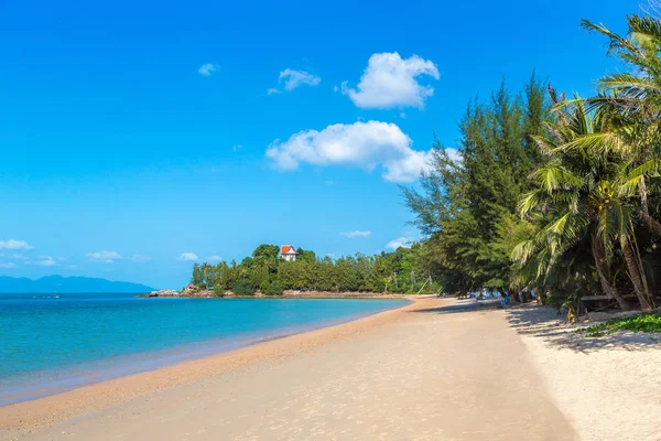 Koh Samui Adası, Tayland bir yaz günü palmiye ağaçları ile tropikal plaj