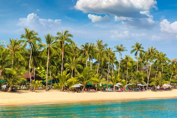 Plage Tropicale Avec Palmiers Sur Île Koh Samui Thaïlande Dans — Photo