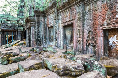 Ta Prohm tapınak kalıntıları olduğunu Khmer antik tapınak Siem Reap içinde karmaşık Angkor Wat, Kamboçya'da bir yaz günü
