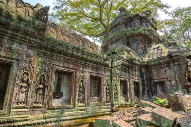 Ta Prohm tapınak kalıntıları olduğunu Khmer antik tapınak Siem Reap içinde karmaşık Angkor Wat, Kamboçya'da bir yaz günü