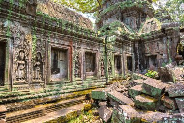 Ta Prohm tapınak kalıntıları olduğunu Khmer antik tapınak Siem Reap içinde karmaşık Angkor Wat, Kamboçya'da bir yaz günü