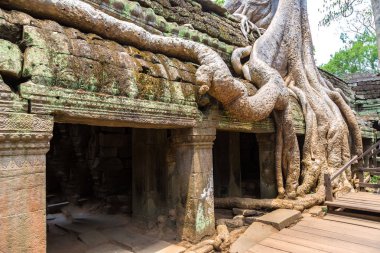 Ta Prohm tapınak kalıntıları olduğunu Khmer antik tapınak Siem Reap içinde karmaşık Angkor Wat, Kamboçya'da bir yaz günü