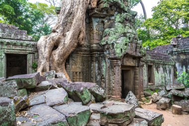 Ta Prohm tapınak kalıntıları olduğunu Khmer antik tapınak Siem Reap içinde karmaşık Angkor Wat, Kamboçya'da bir yaz günü