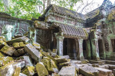 Ta Prohm tapınak kalıntıları olduğunu Khmer antik tapınak Siem Reap içinde karmaşık Angkor Wat, Kamboçya'da bir yaz günü