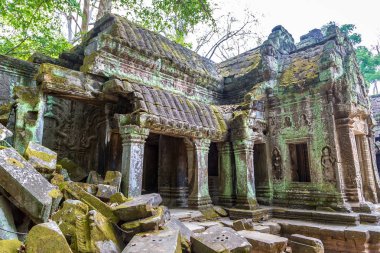 Ta Prohm tapınak kalıntıları olduğunu Khmer antik tapınak Siem Reap içinde karmaşık Angkor Wat, Kamboçya'da bir yaz günü