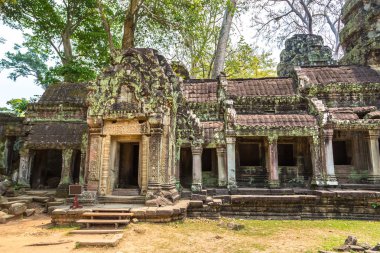 Ta Prohm tapınak kalıntıları olduğunu Khmer antik tapınak Siem Reap içinde karmaşık Angkor Wat, Kamboçya'da bir yaz günü