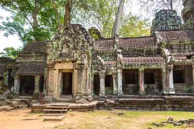 Ta Prohm tapınak kalıntıları olduğunu Khmer antik tapınak Siem Reap içinde karmaşık Angkor Wat, Kamboçya'da bir yaz günü