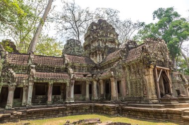 Ta Prohm tapınak kalıntıları olduğunu Khmer antik tapınak Siem Reap içinde karmaşık Angkor Wat, Kamboçya'da bir yaz günü
