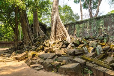 Ta Prohm tapınak kalıntıları olduğunu Khmer antik tapınak Siem Reap içinde karmaşık Angkor Wat, Kamboçya'da bir yaz günü