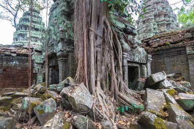 Ta Prohm tapınak kalıntıları olduğunu Khmer antik tapınak Siem Reap içinde karmaşık Angkor Wat, Kamboçya'da bir yaz günü
