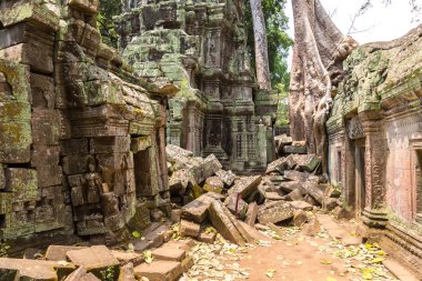 Ta Prohm tapınak kalıntıları olduğunu Khmer antik tapınak Siem Reap içinde karmaşık Angkor Wat, Kamboçya'da bir yaz günü