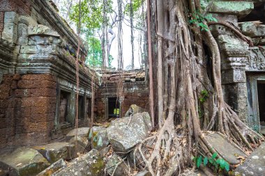 Ta Prohm tapınak kalıntıları olduğunu Khmer antik tapınak Siem Reap içinde karmaşık Angkor Wat, Kamboçya'da bir yaz günü