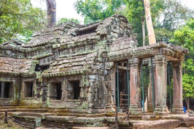 Ta Prohm tapınak kalıntıları olduğunu Khmer antik tapınak Siem Reap içinde karmaşık Angkor Wat, Kamboçya'da bir yaz günü