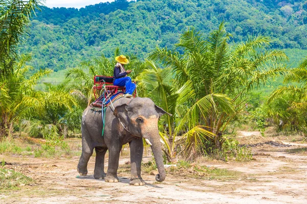 Turystów Jazda Elephant Koryta Dżungli Tajlandii Letnie Dni — Zdjęcie stockowe