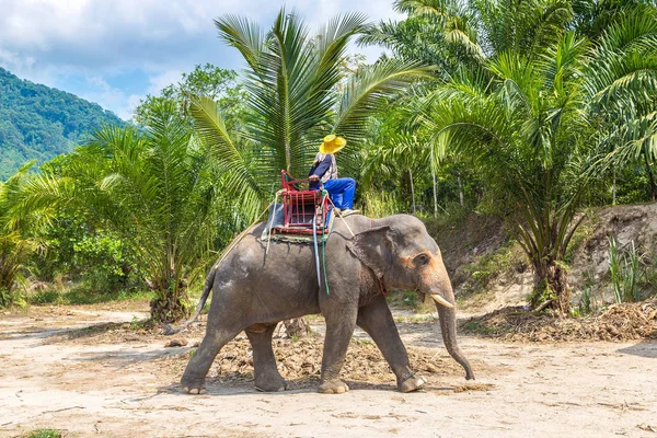 Turystów Jazda Elephant Koryta Dżungli Tajlandii Letnie Dni — Zdjęcie stockowe