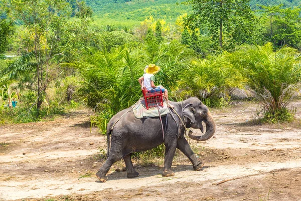 Touristen Reiten Einem Sommertag Auf Elefanten Durch Dschungel Thailand — Stockfoto