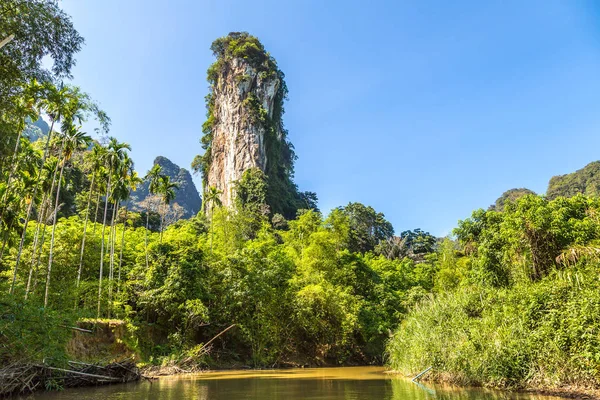 Forêt Tropicale Humide Thaïlande Jour Été — Photo