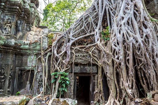 Ta Prohm tapınak kalıntıları olduğunu Khmer antik tapınak Siem Reap içinde karmaşık Angkor Wat, Kamboçya'da bir yaz günü