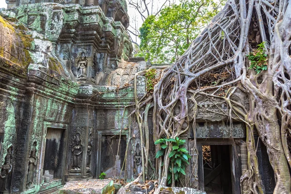 Prohm Храм Руины Кхмеров Древний Храм Комплексе Ангкор Ват Сием — стоковое фото